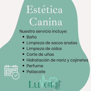 Servicio de Estética Canina Luvet