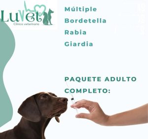 Servicio de Vacunación Luvet